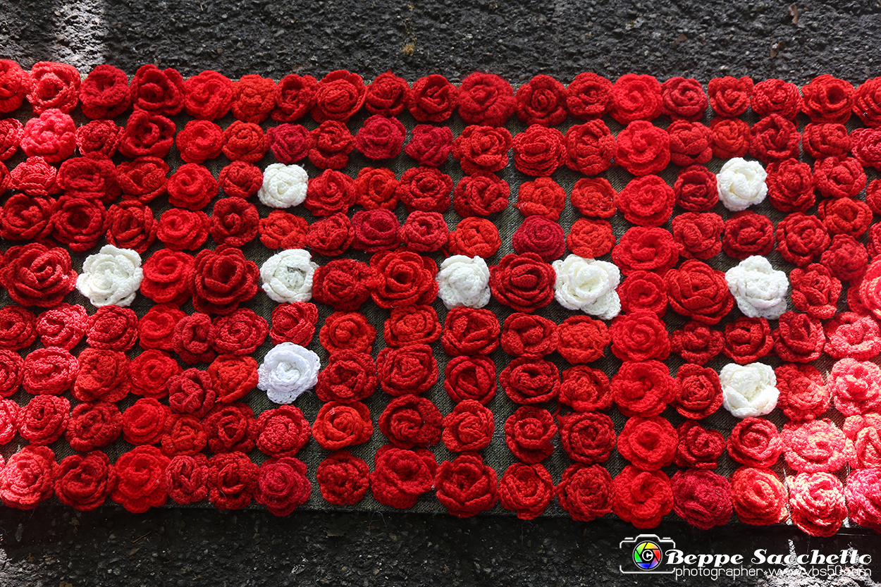 VBS_9531 - Infiorata di Villanova d'Asti 2023.jpg